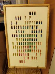 -彩虹之门健康管理