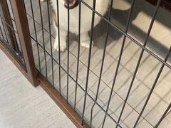 -宠物家(角门东店)