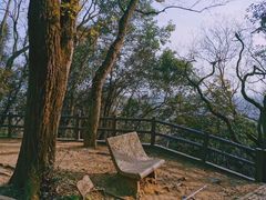 -上海佘山国家森林公园天马山园