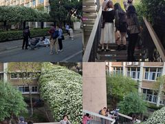 -四川大学(望江校区)