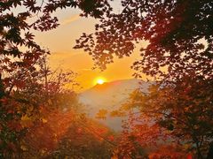 -天女山森林公园