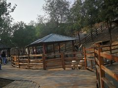 -北京鹿世界主题园