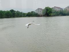 -长兴太湖图影湿地文化园