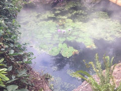 iphone_upload_pic-映月潭温泉