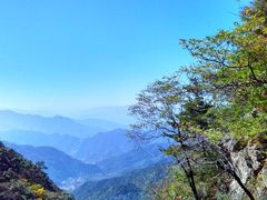 -王顺山国家森林公园