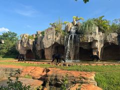 -海南热带野生动植物园