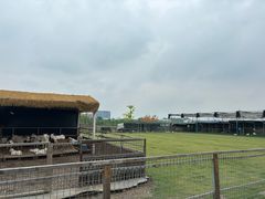 -栖露营camping·天幕烧烤·团建拓展·采摘营地
