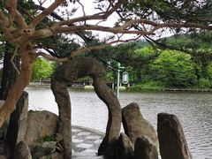 -庐山风景区花径公园