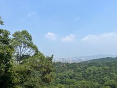 -灵岩山风景区