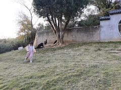 -雅和生态渔庄·宜城锅巴饭(龙灵山公园店)