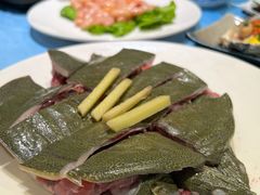 -千岛蚝高压锅生蚝·人参火锅(白云万达店)