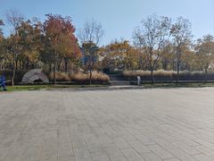 -上海山野camping·户外天幕烧烤·团建拓展营地