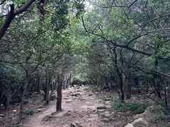 -虞山风景区