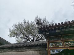 -张学良旧居陈列馆