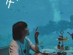 -涛·海底餐厅·美人鱼·自助餐·海底隧道(三亚海棠湾洲际度假酒店)