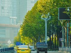 -重庆市江北嘴中央商务区中央公园