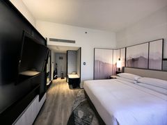 -新加坡乌节希尔顿酒店 (SG Clean)