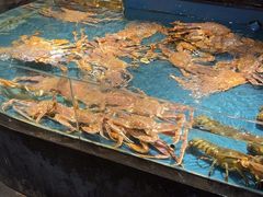 -龙宴海鲜城(经中路店)