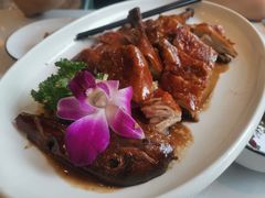 -刘胖子家常菜·蹄花焖藕(中央花园店)