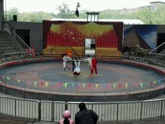 -石家庄市动物园