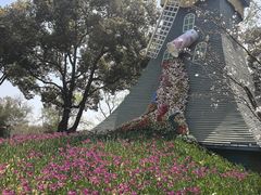 -无锡梅园公园