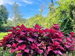 -长春公园(普阳街道)