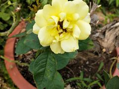-小仙居·农家宴烤羊· 农庄