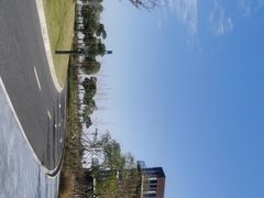 -春花秋色城市公园