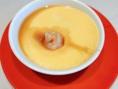 -大鸽饭(动物园店)