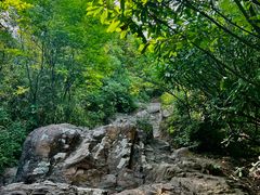 -杭州半山国家森林公园