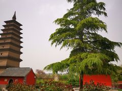 -正定古城-开元寺