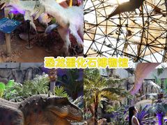 -中国西峡恐龙遗迹园