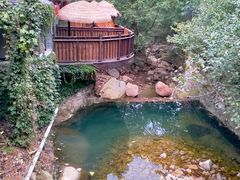 -老张烤羊(王哥庄店)