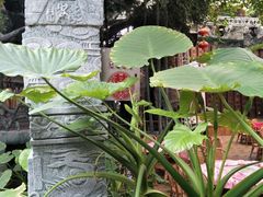 -江天生态园餐厅