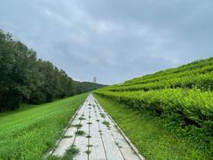 -长春净月潭风景名胜区