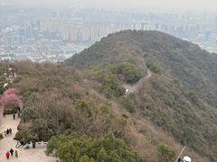 -杭州半山国家森林公园