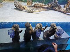 -华夏文旅海洋公园