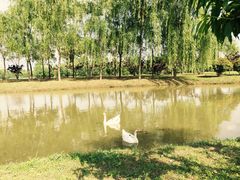 -骏途旅游