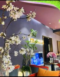 -花隐·美芙炫海菲秀皮肤管理中心