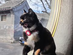 -古耳咖啡(北锣店)