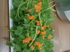 -海胆小馆(东北水饺·春柳店)