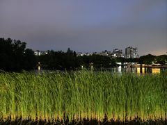 -新江湾城公园