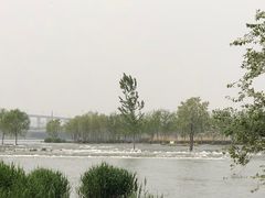 -绿堤公园
