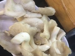 -石婆婆烧鸡公(凤凰西街店)