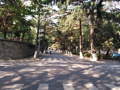 -八大关景区