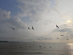 -小石岛景区
