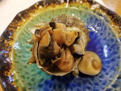 酒蒸蝾螺-达摩君日本料理(泰海花园小区店)