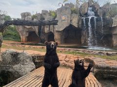 -海南热带野生动植物园
