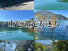 -广州市流溪河国家森林公园