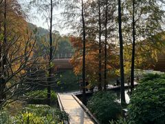 -云溪植物园